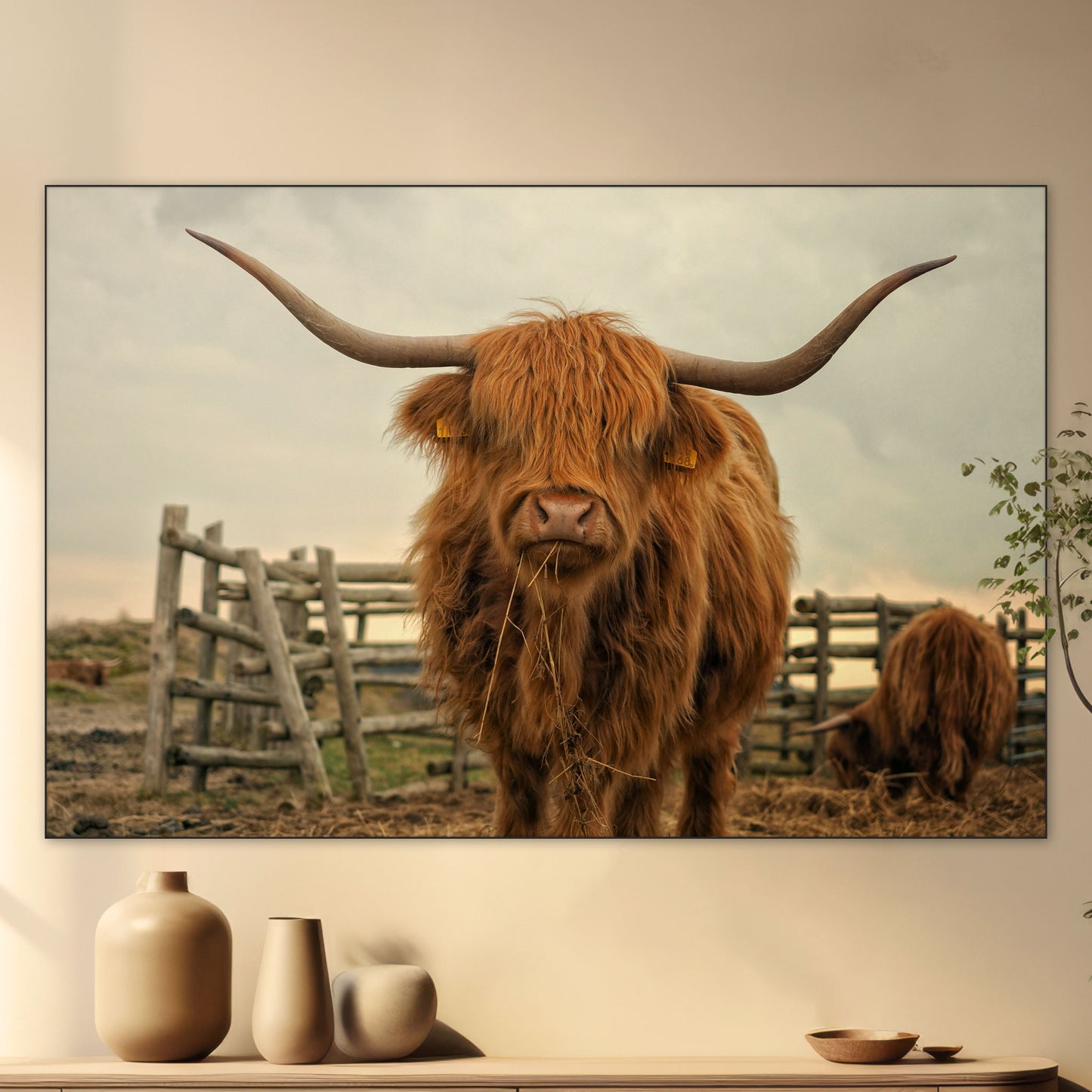 Schotse Hooglander - Fotografie - Muurstatuur