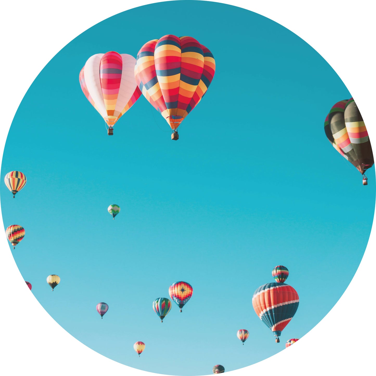 Luchtballonnen - Fotografie - Muurstatuur