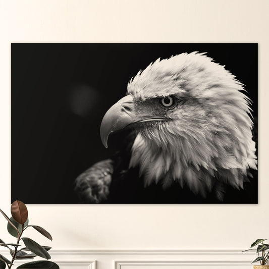 Amerikaanse Arend - Fotografie - Muurstatuur