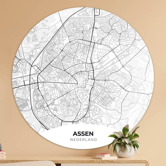 Assen - Kaarten - Muurstatuur