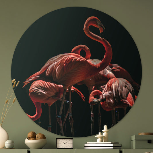 Flamingos - Fotografie - Muurstatuur