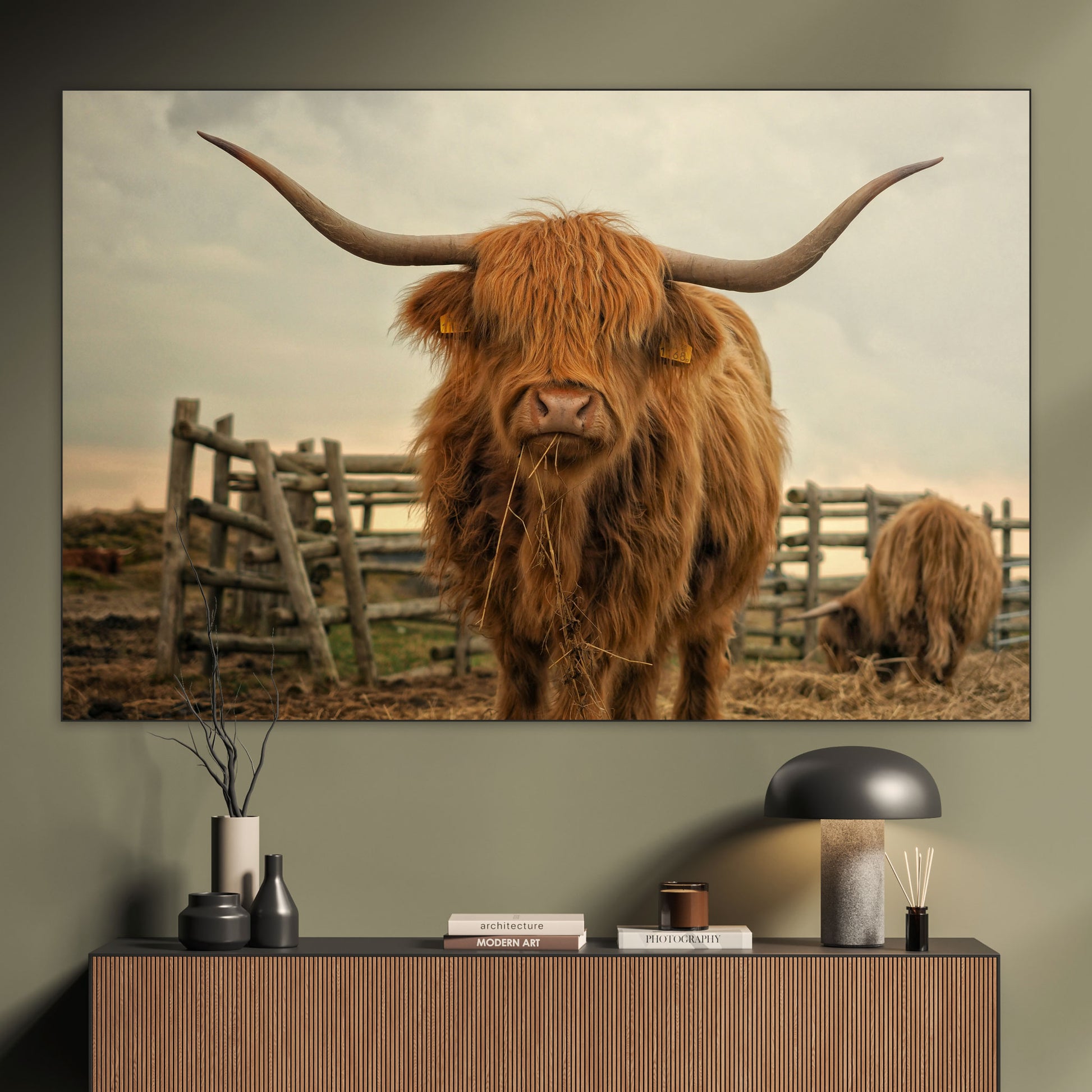 Schotse Hooglander - Fotografie - Muurstatuur