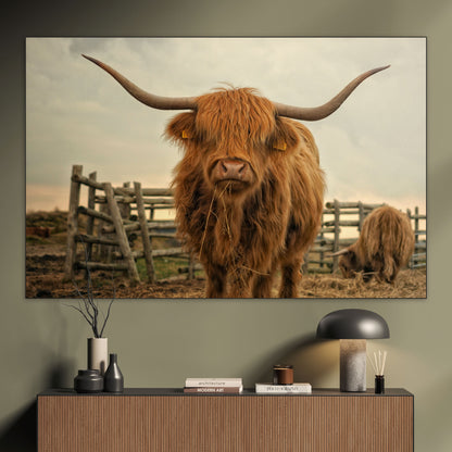 Schotse Hooglander - Fotografie - Muurstatuur