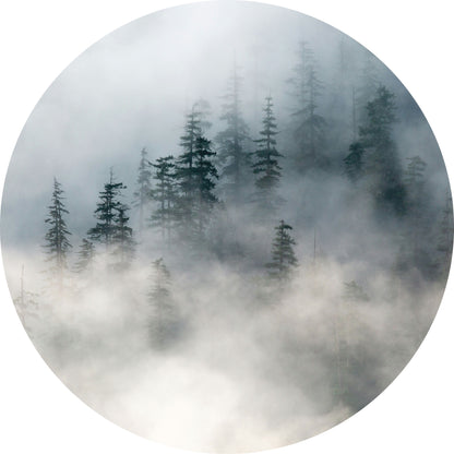 Bos in Mist - Fotografie - Muurstatuur