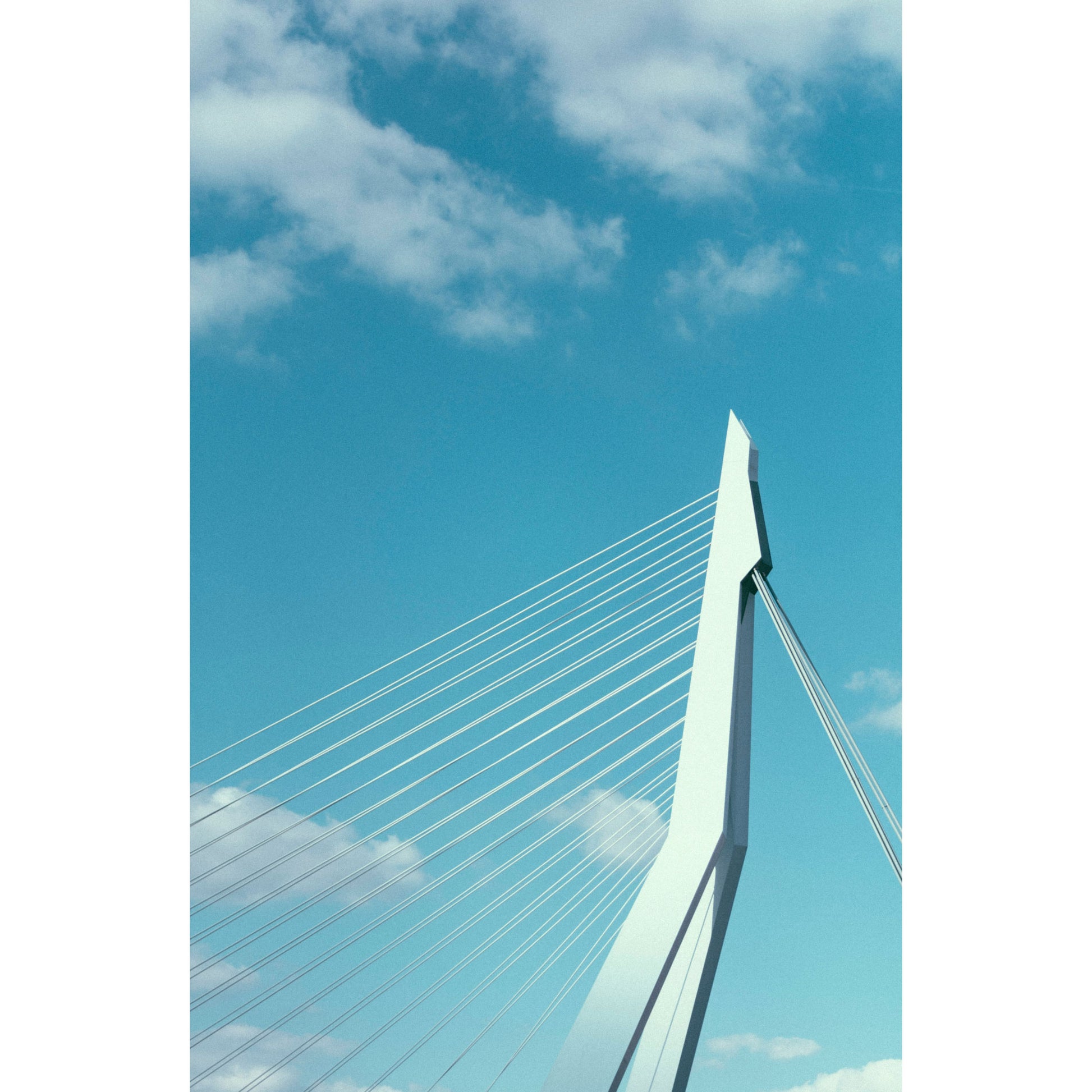 Erasmusbrug Rotterdam - Fotografie - Muurstatuur