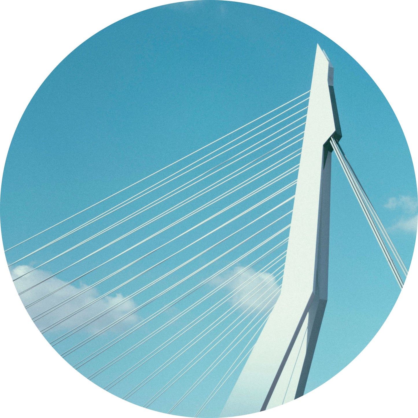 Erasmusbrug Rotterdam - Fotografie - Muurstatuur