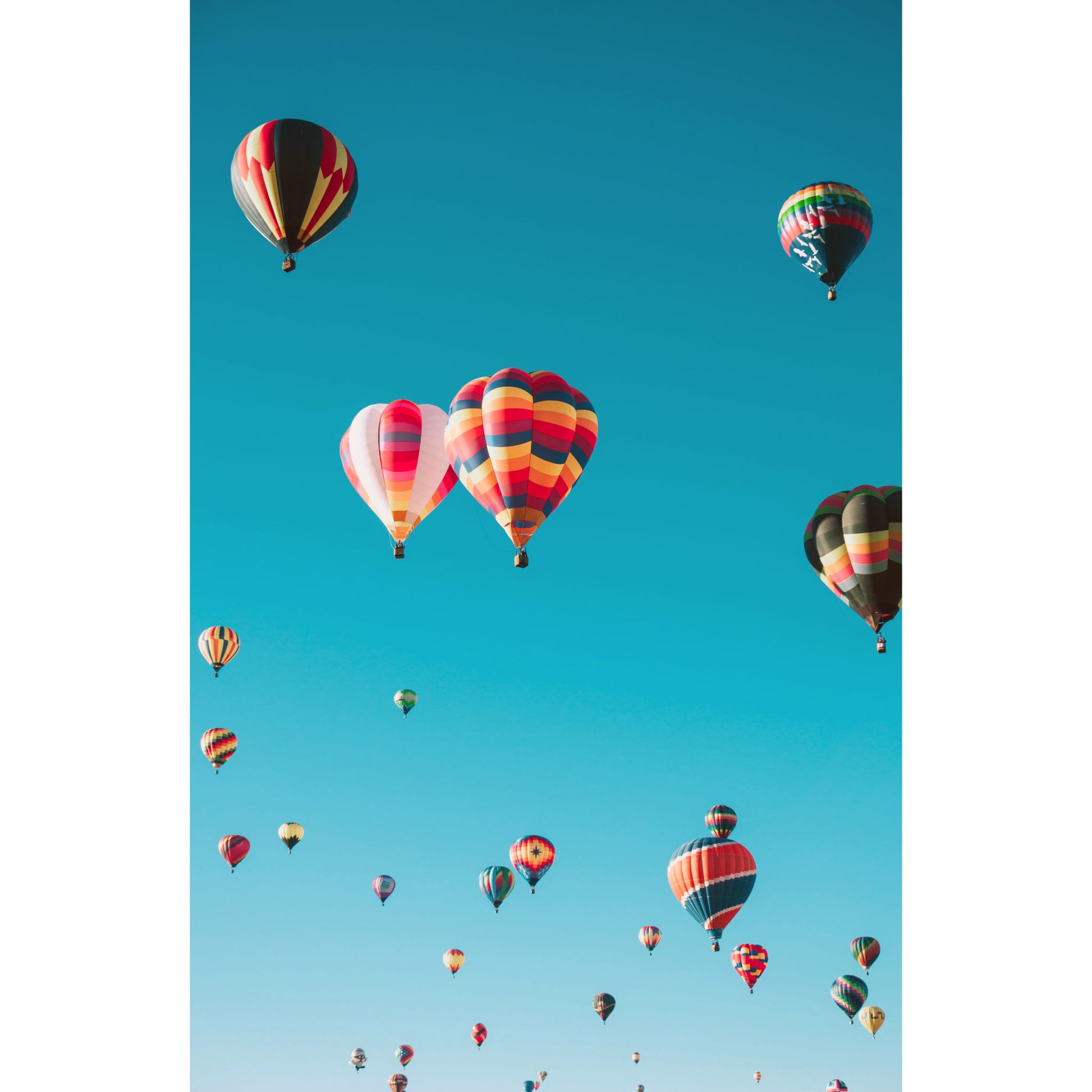 Luchtballonnen - Fotografie - Muurstatuur