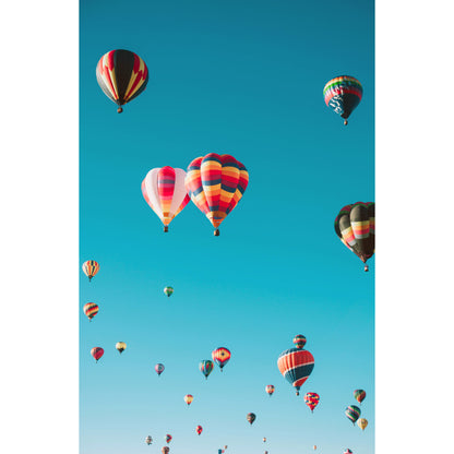 Luchtballonnen - Fotografie - Muurstatuur