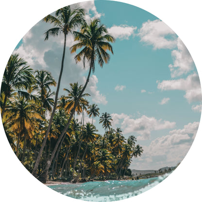 Palmbomen - Fotografie - Muurstatuur