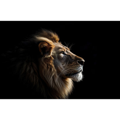 Portret van een Leeuw - Fotografie - Muurstatuur