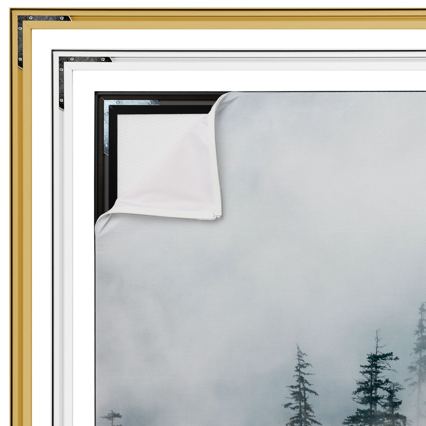 Bos in Mist - Fotografie - Muurstatuur