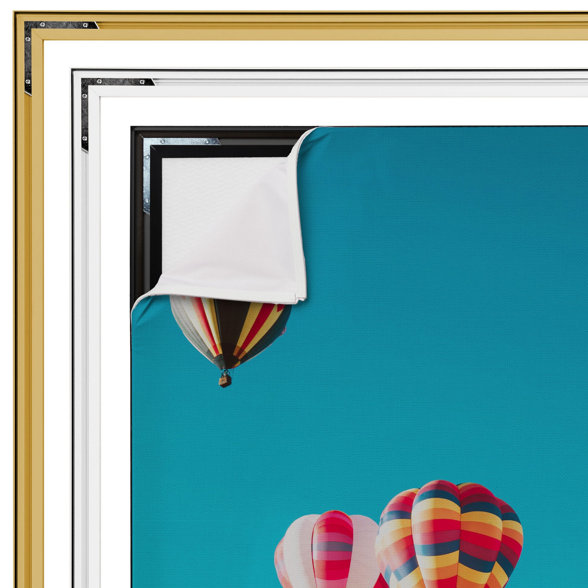 Luchtballonnen - Fotografie - Muurstatuur